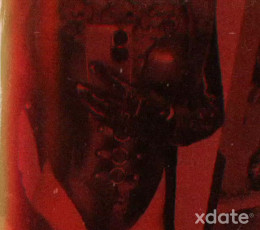 Arschnuten gesucht❗️